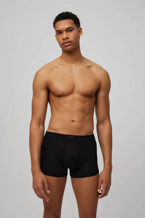 Boxer basic